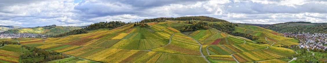 Panoramic view of hilly vineyards under cloudy sky, with autumn colors, near Strümpfelbach im