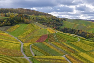 Vivid colors of the vineyards with red-yellow patterns on hilly terrain under a cloudy sky, autumn,
