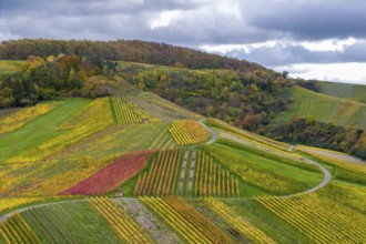 Autumn-colored vineyards with vivid shades of red, yellow and green on wooded hills, near