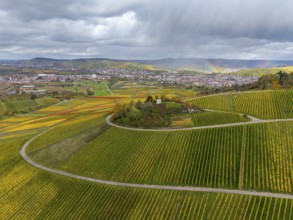 Wide landscape with vineyards and a rainbow under a cloudy sky, autumn, Schützenhüttle-Donkey, near