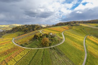 Vineyard landscape in autumn with colorful fields and winding roads under cloudy sky,