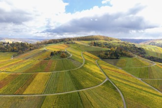 Hilly vineyards in vivid autumn colors under a partly cloudy sky, autumn, Schützenhüttle-Donkey,