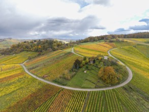 Colourful vineyards stretch over hills under dramatic cloudy skies, autumn, Schützenhüttle-Donkey,