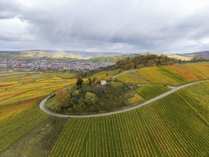 View over hills with colorful vineyards and a dramatic sky full of clouds, autumn,