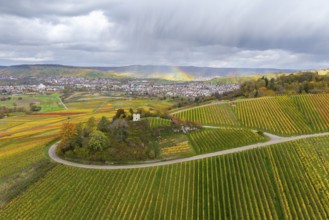 Autumn vineyards with a rainbow over the hills and trails in between, autumn,