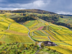 Hilly vineyards with a winepress, autumn colors contrasting with a cloudy sky, near Strümpfelbach
