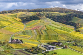 Hilly landscape with colorful vineyards and houses under a cloudy sky, autumn, wineries, wine