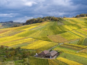 A wine press in the midst of yellow and green vineyards under a blue cloud sky, near Strümpfelbach