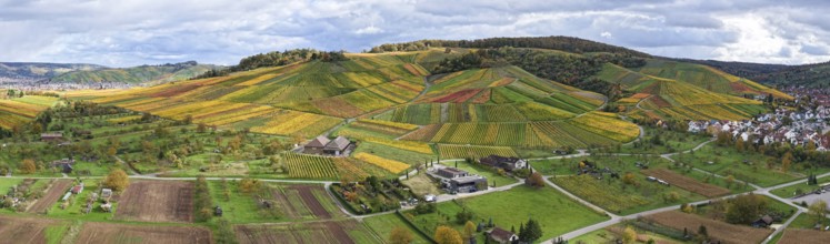 Landscape panorama of hilly vineyards with a village and cloudy sky, autumn, Strümpfelbach im