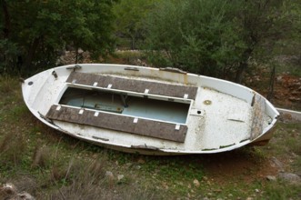 Old rowing boat lying abandoned in an olive grove, Majorca, Spain