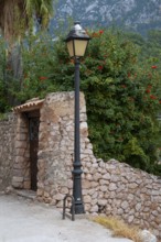 Laying stone wall with entrance gate, Majorca, Spain