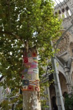 Decorated tree trunk, behind Església de Sant Bartomeu de Sóller, Soller, Majorca, Spain