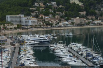 Lots of boats, harbour, Port de Soller, Majorca, Spain