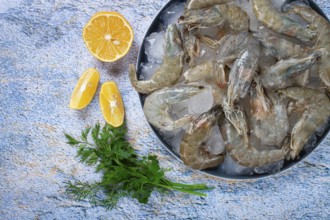 Fresh raw shrimp, spread on ice with lemon and cilantro slices on a marble surface, ready to cook,