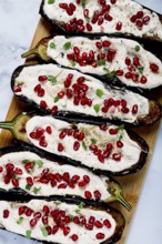 Fried eggplant with sauce, decorated with microgreens and pomegranate seeds, eggplant appetizer,