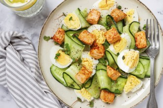 Delicious salmon and egg salad served on a plate with fresh cucumber and herbs for a healthy meal