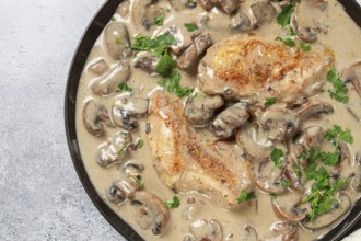 Chicken in cream sauce with mushrooms, on a black plate, no people