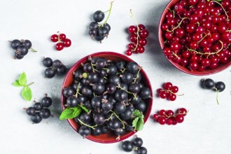Bowls with berries, black and red currants, top view, food concept, no people