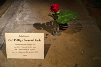 Interior photo, rose in vase standing on grave, grave slab, by Carl Philipp Emanuel Bach, crypt,