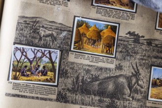 German colonies. German Southwest Africa. Obambo An anthology published by Cigaretten-Bilderdienst