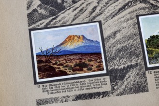 German colonies. German East Africa. An anthology published by Cigaretten-Bilderdienst Dresden from