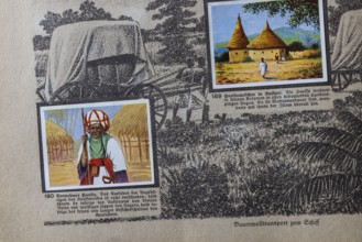 German colonies. Togo. Noble Hausa. The image text says that the appearance is quite different.