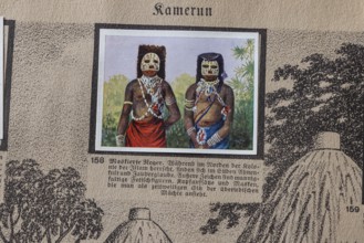 German colonies. Cameroon German Southwest Africa. An anthology published by