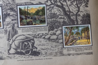 German colonies. Kiauchow. An anthology published by Cigaretten-Bilderdienst Dresden from 1936.