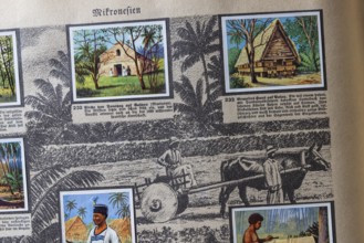 German colonies. Micronesia. An anthology published by Cigaretten-Bilderdienst Dresden from 1936.