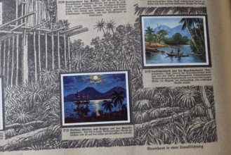 German colonies. Bismarck archipelago. An anthology published by Cigaretten-Bilderdienst Dresden