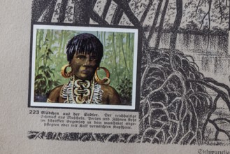 German colonies. Solomon and Admiralty Islands. Girls from the South Seas. Caption: The rich