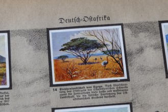 German colonies. German East Africa. Ugogo steppe landscape. An anthology published by