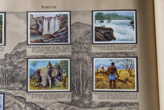 German colonies. Cameroon German Southwest Africa. An anthology published by