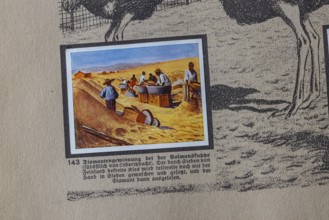 German colonies. German Southwest Africa. Diamond mining at Kolmanskuppe. An anthology published by