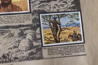 German colonies. German Southwest Africa. Caption: An equestrian patrol of the Schutztruppe. The