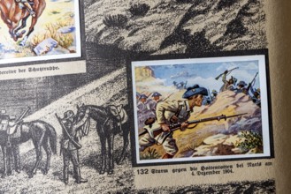 German colonies. German Southwest Africa. An anthology published by Cigaretten-Bilderdienst Dresden