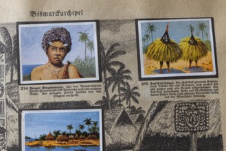 German colonies. Bismarck archipelago. Young native. According to the caption, robbery of woman and