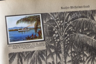 German colonies. Kaiser-Wilhelms-Land. Friedrich-Wilhelms-Hafen. An anthology published by