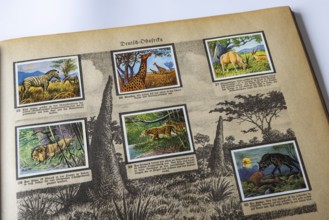 German colonies. German East Africa. An anthology published by Cigaretten-Bilderdienst Dresden from