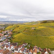 Panoramic view of autumnal vineyards with bright yellow fields, houses and hills under cloudy sky,