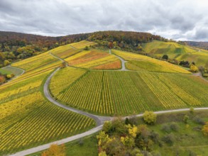Colourful vineyards in autumn landscape with winding paths under clouds, near Stetten im Remstal,
