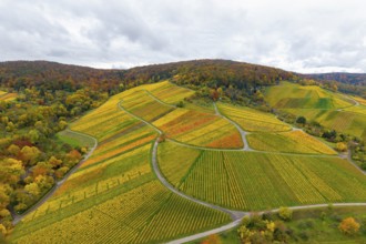 Vineyards in autumn colors, with hilly landscapes and cloudy skies, near Stetten im Remstal,