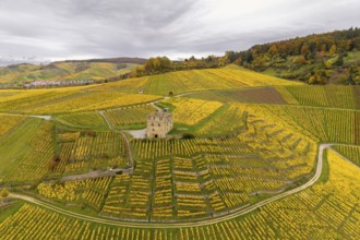 A tower surrounded by extensive yellow vineyards on rolling hills in cloudy weather, Y-Burg,