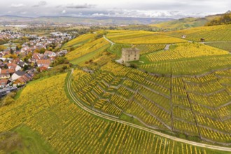 Vineyards in rich yellow with a secluded building and village on the hills under a covered sky,
