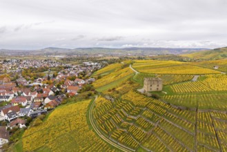 Vineyards in autumn colors with a small village in the background under cloudy sky, Y-Burg, Stetten