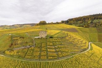 Picturesque scenery of yellow-green vineyards with a tower in the middle under cloudy sky, Y-Burg,