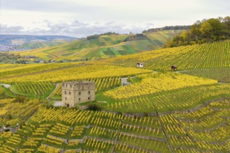 Picturesque landscape with yellow vineyards and a tower on the hills under overcast sky, Y-Burg,