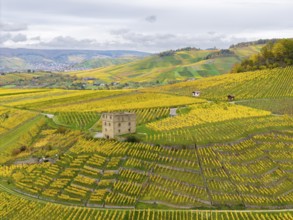 A tower surrounded by extensive yellow-green vineyards under cloudy sky, Y-Burg, Stetten im