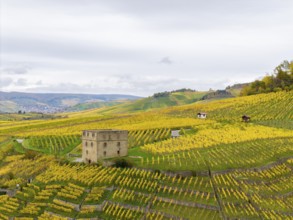 Autumn panorama of vineyards with yellow fields and a central old building under a cloudy sky,