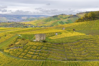 Wide hilly landscape with a central tower surrounded by yellow and green vines, Y-Burg, Stetten im